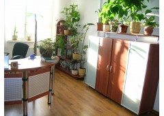 мебель по индивидуальным заказам